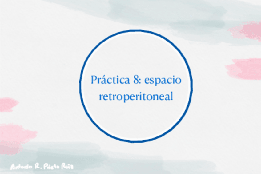 Miniatura del documento Practica-8-region-retroperitoneal.pdf