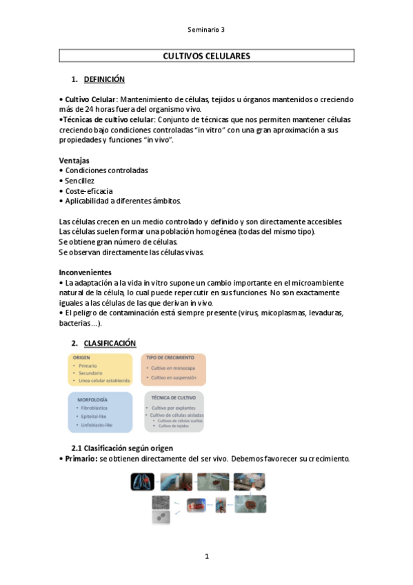 Miniatura del documento Seminario-3.pdf