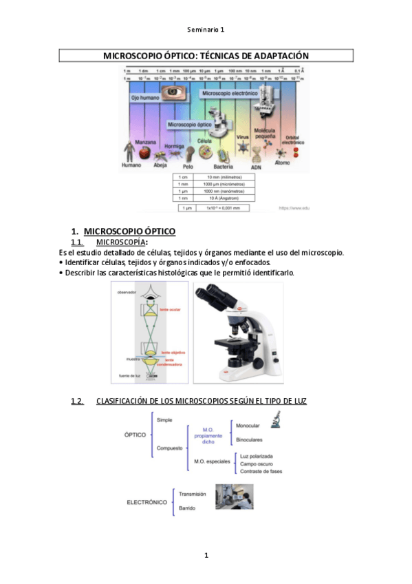 Miniatura del documento Seminario-1.pdf