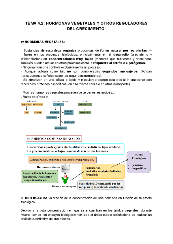 Miniatura del documento TEMA-4.2-HORMONAS-VEGETALES-Y-OTROS-REGULADORES-DEL-CRECIMIENTO.pdf