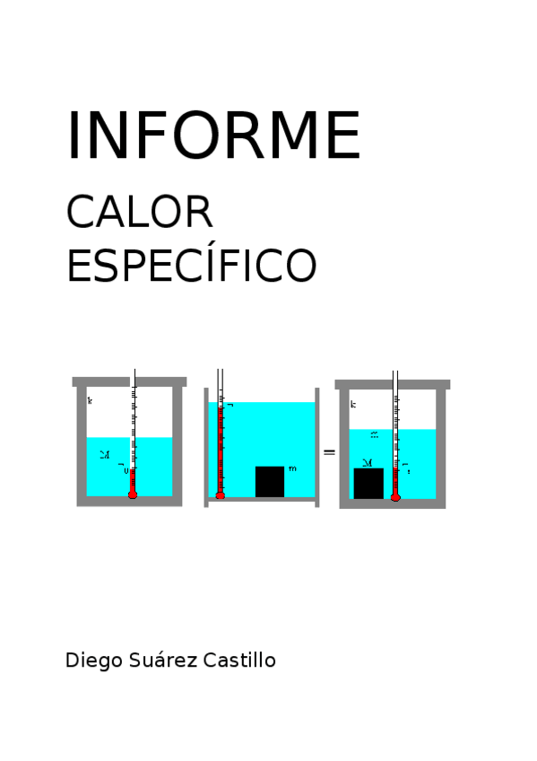 Miniatura del documento InformeCalorEspecifico.docx
