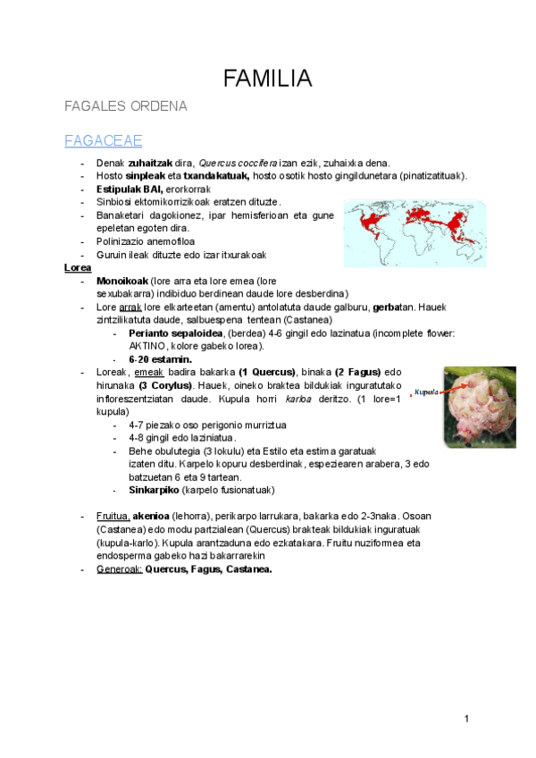 Miniatura del documento Landare-familia-bakoitzaren-ezaugarriak.pdf