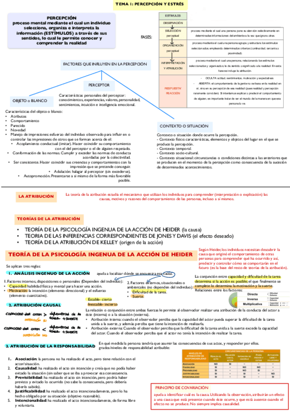 Miniatura del documento Tema-1-HDG-percepcion-y-estres.pdf