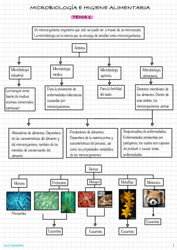 Miniatura del documento Esquemas-microbiologia-del-tema-1-al-tema-8.pdf