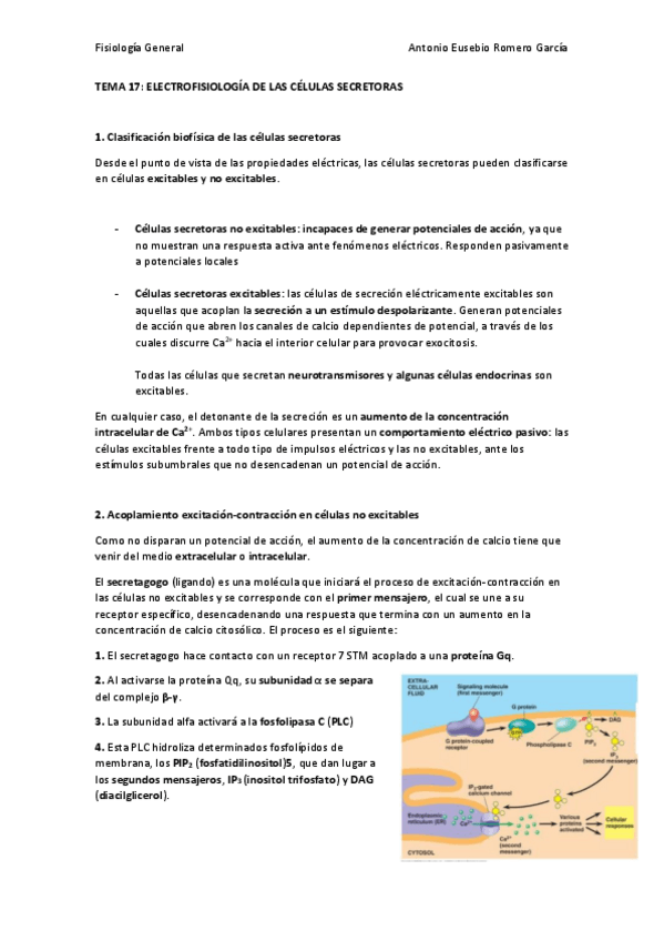 Miniatura del documento TEMA-17.pdf
