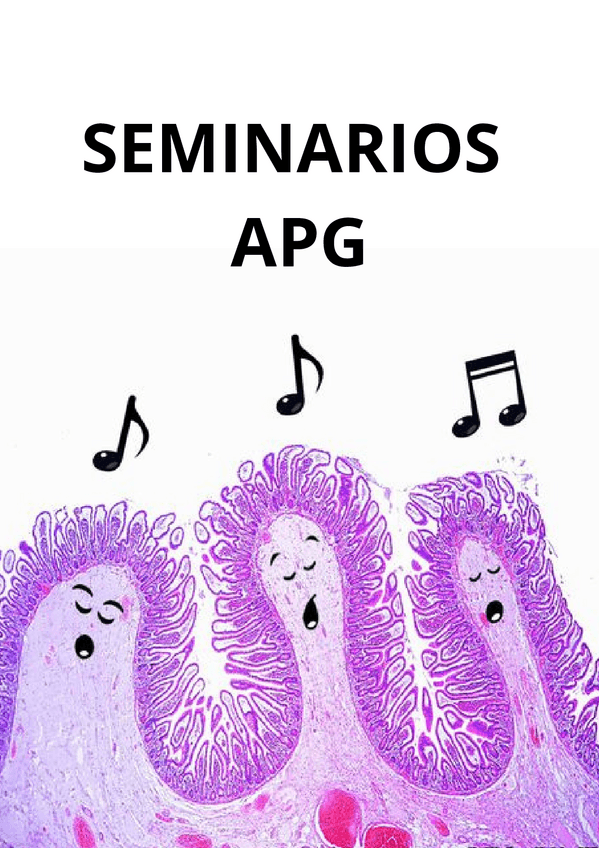 Miniatura del documento SEMINARIOS-APG-JUNTO.pdf