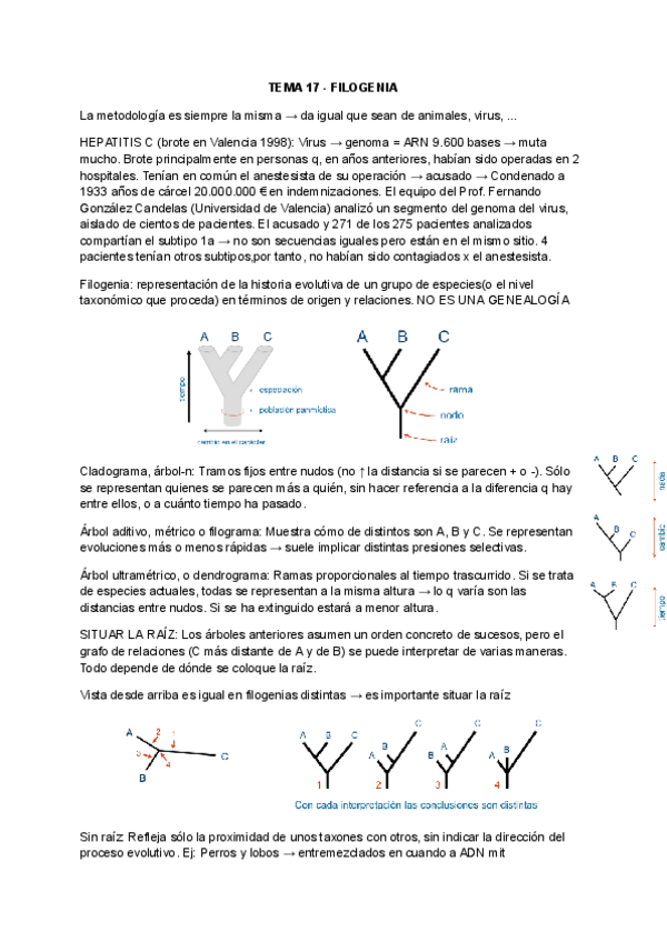 Miniatura del documento TEMA-17-FILOGENIA.pdf