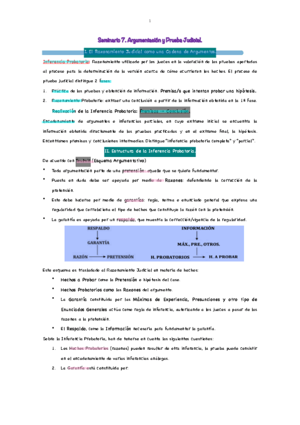 Miniatura del documento Seminario-7.-Argumentacion-y-Prueba-Judicial..pdf