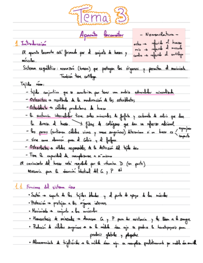 Miniatura del documento Tema-3-Anatomia.pdf