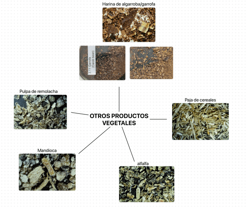 Miniatura del documento Fotos-microscopia-de-piensos.pdf
