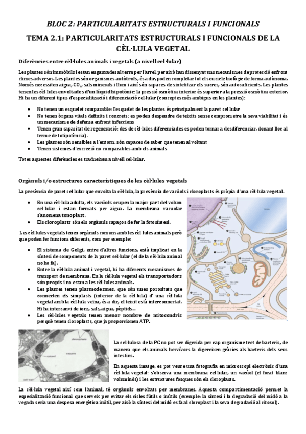 Miniatura del documento BLOC-2.pdf