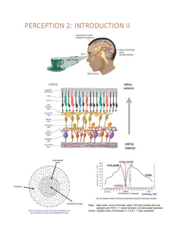 Miniatura del documento PERCEPTION-2-INTRODUCTION-II.pdf
