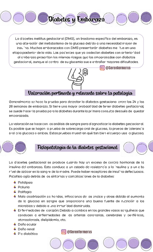 Miniatura del documento Diabetes-Gestacional-MATERNO-II-GUIA.pdf