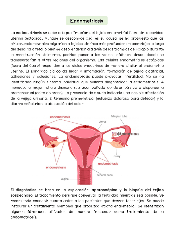 Miniatura del documento Endometriosis-SER-ENFERMERXS.pdf