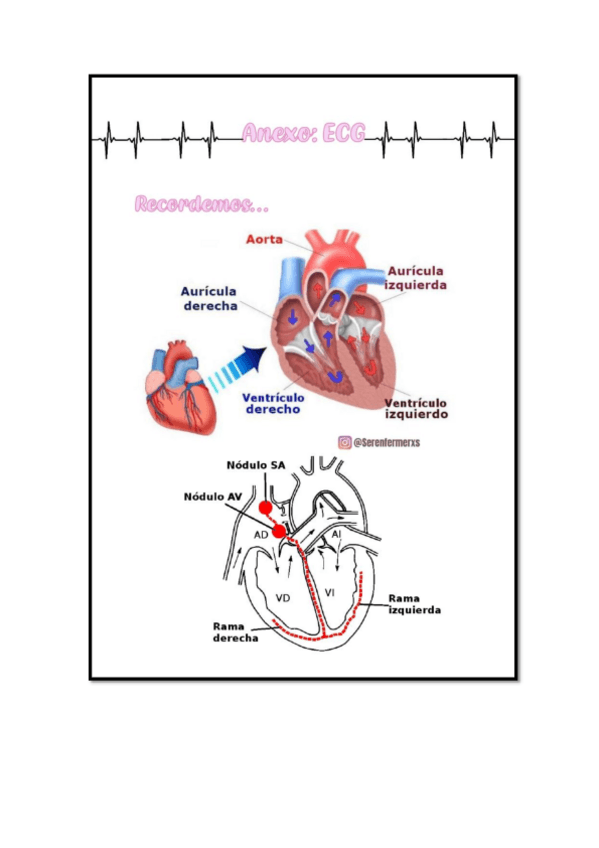 Miniatura del documento ANEXO-ECG-PARA-IMPRIMIR-A5-SER-ENFERMERXS.pdf