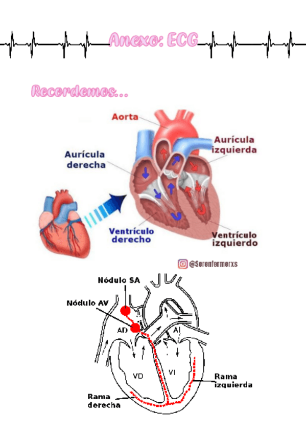 Miniatura del documento ANEXO-ECG-SER-ENFERMERXS.pdf