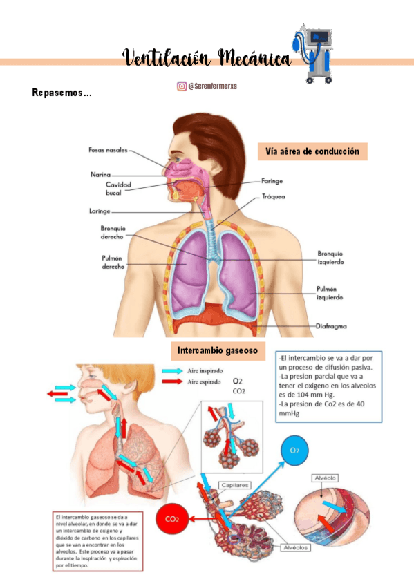 Miniatura del documento Ventilacion-Mecanica-VM-SER-ENFERMERXS1.pdf