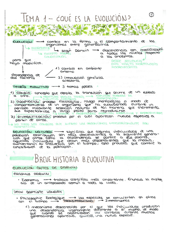 Miniatura del documento Esquemas Árbol de la Vida.pdf