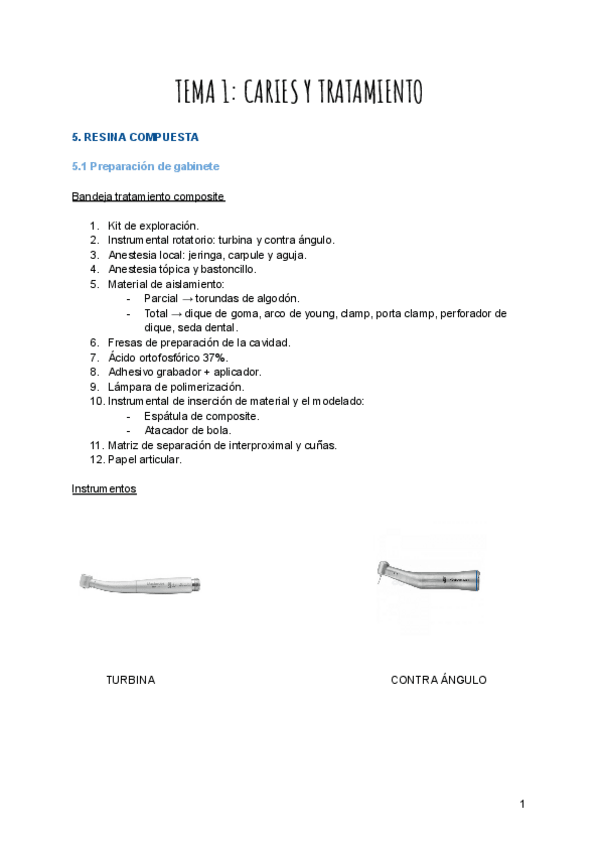 Miniatura del documento TEMA-1-Conservadora.pdf