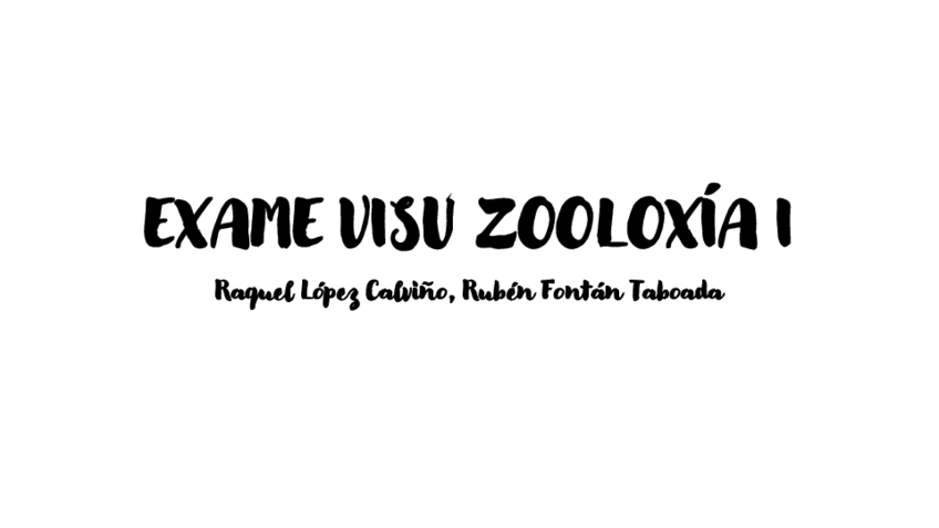 Miniatura del documento EXAME-VISU-ZOOLOXIA-I.pdf
