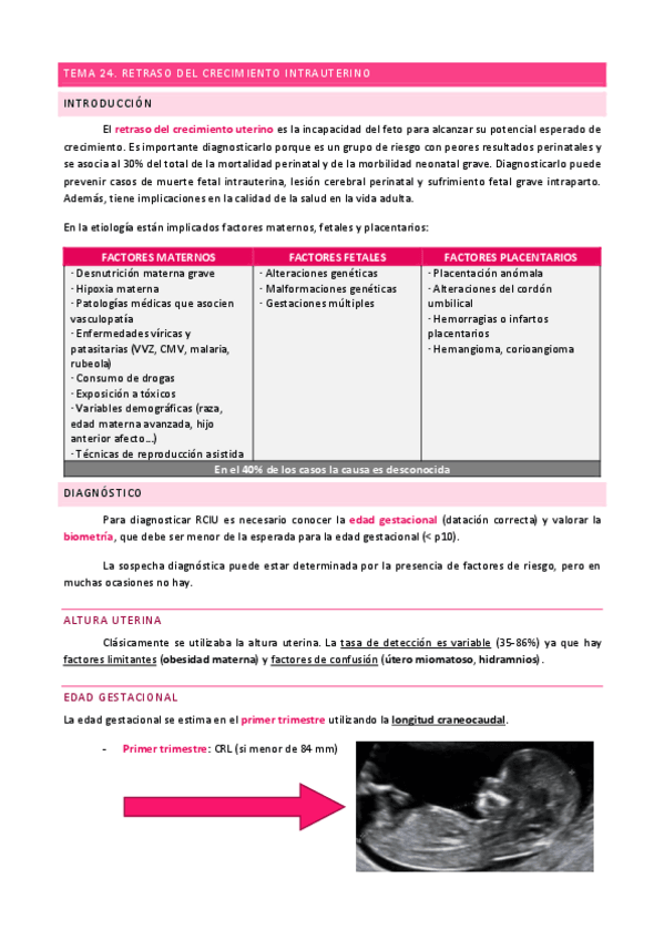Miniatura del documento TEMA-24.-Retraso-del-Crecimiento-IntraUterino.pdf