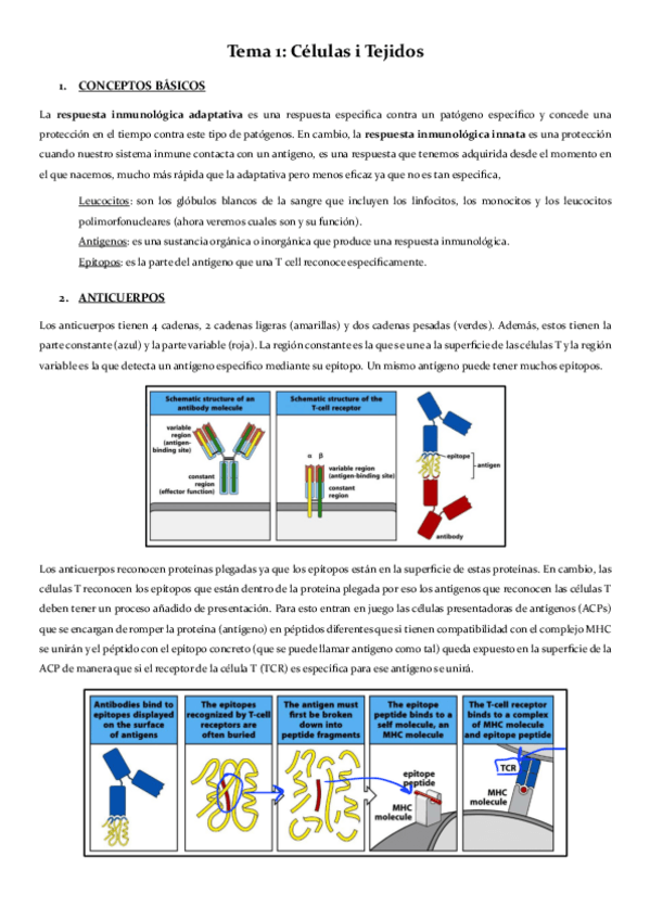 Miniatura del documento inmuno-1r-parcial-castellano.pdf