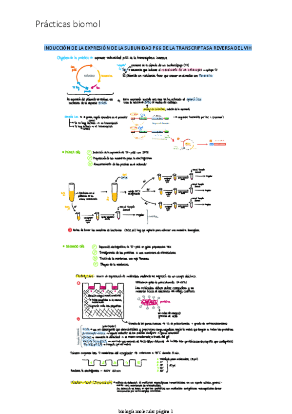 Miniatura del documento practicas-biomol.pdf