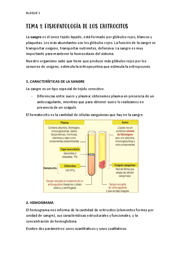 Miniatura del documento TODO FISIOPATO (UN 7 EN 3ªCONVOC).pdf
