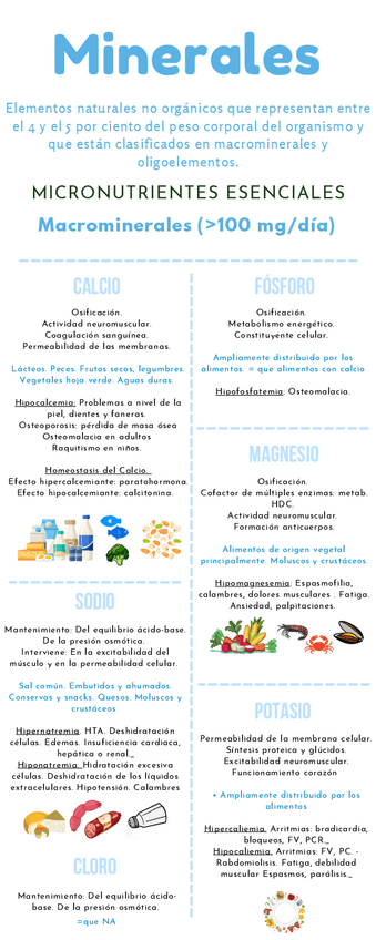 Miniatura del documento infografias-resumen-macros-y-micros-minerales.pdf