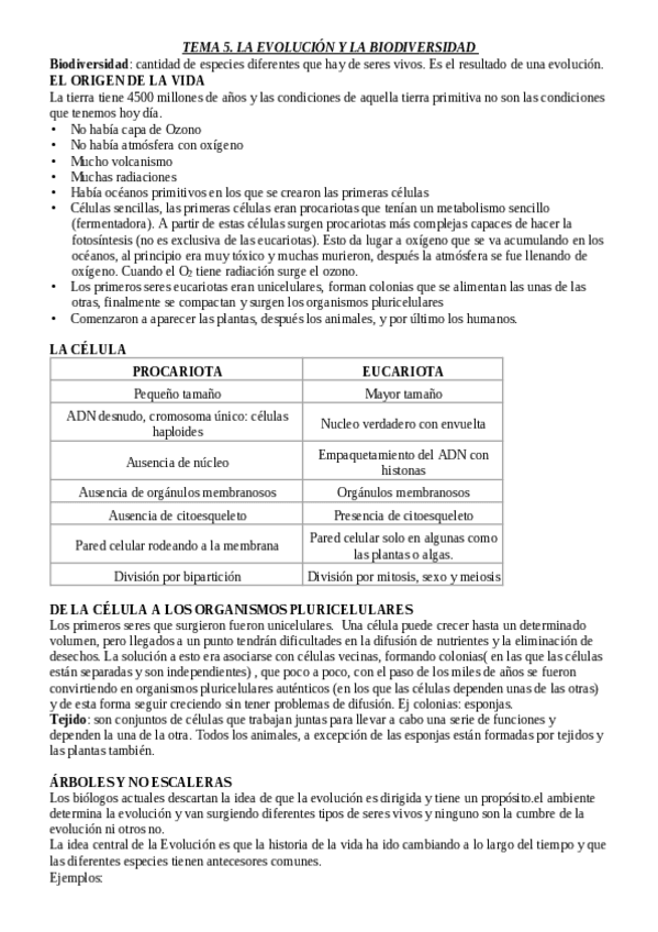 Miniatura del documento tema-5.pdf