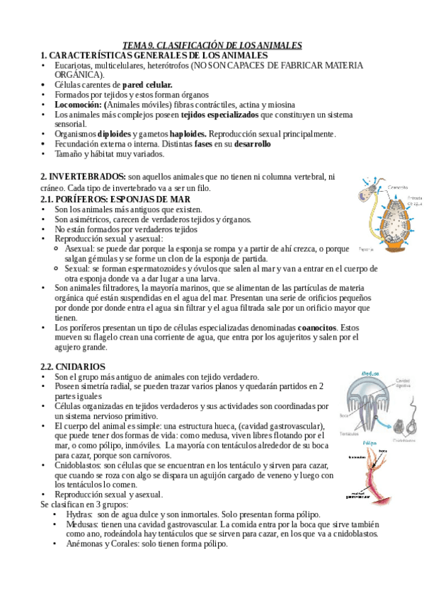 Miniatura del documento tema-9.pdf