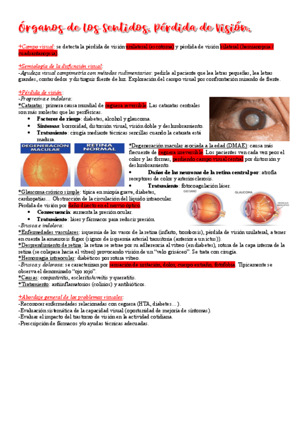 Miniatura del documento 27.-Organos-de-los-Sentidos.-Perdida-de-Vision.pdf