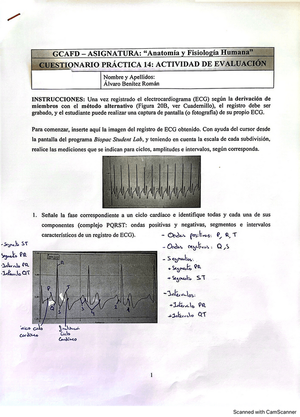 Miniatura del documento Fisiologia-Cuestionario-Practica-14.pdf