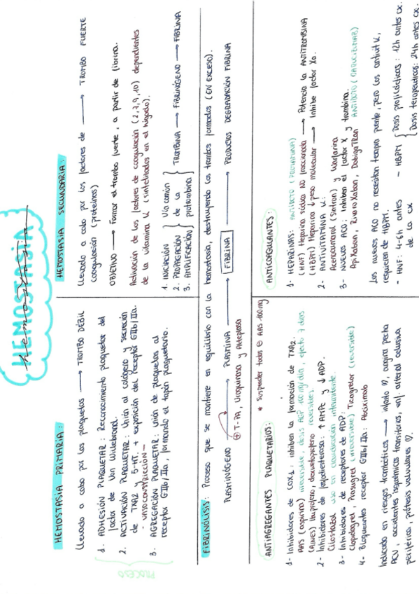 Miniatura del documento HEMOSTASIA.pdf