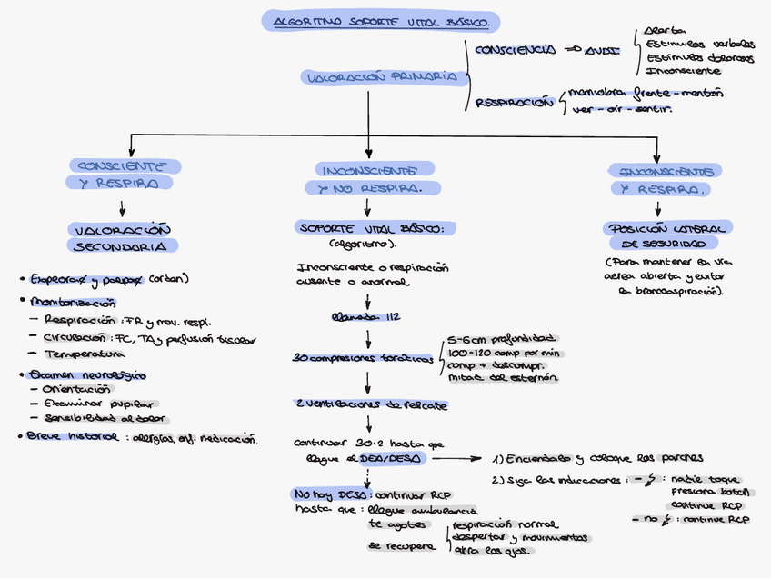 Miniatura del documento Algoritmos 1º parcial.pdf