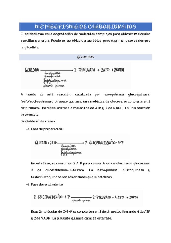 Miniatura del documento Metabolismo-de-carbohidratos.pdf