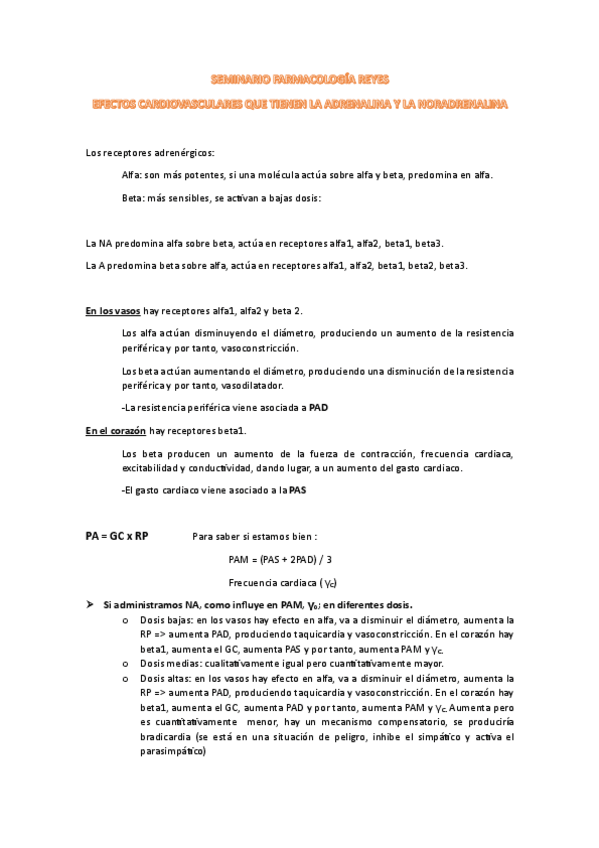 Miniatura del documento Seminario-NA-y-A-Reyes.pdf