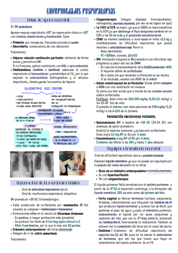 Miniatura del documento Enfermedades-respiratorias.pdf