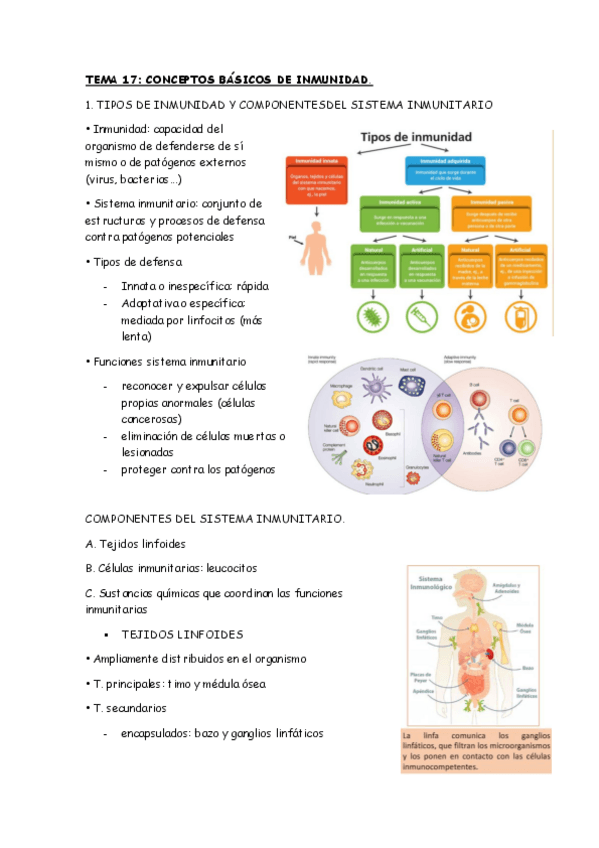 Miniatura del documento TEMA-17.pdf