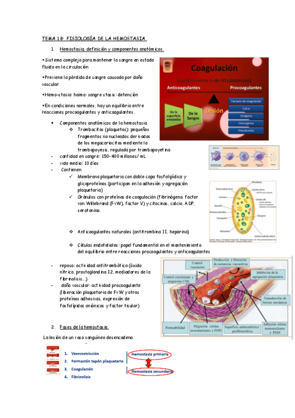 Miniatura del documento TEMA-18.pdf