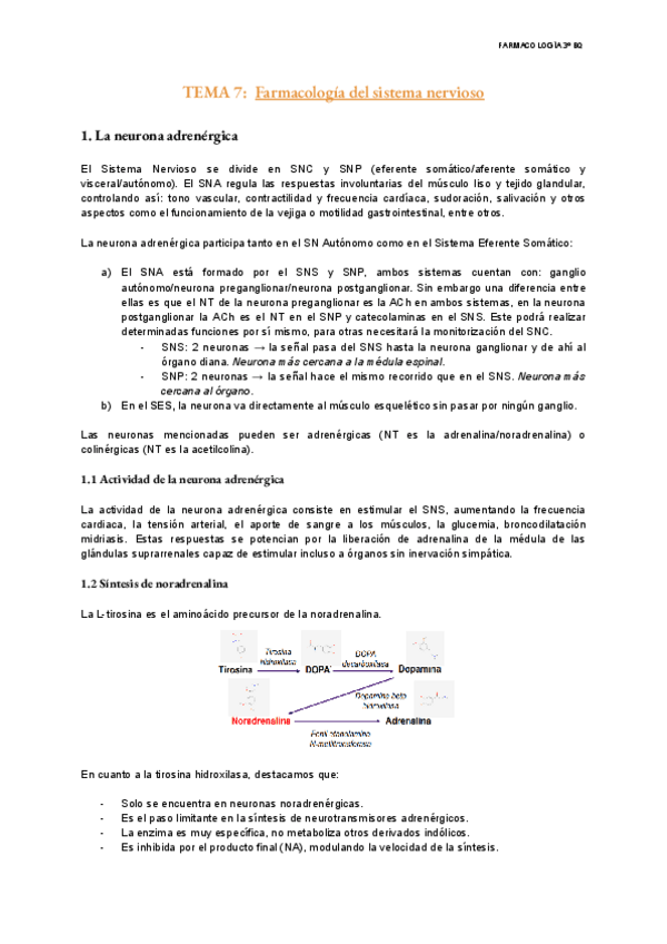 Miniatura del documento TEMA-7-Farma.pdf
