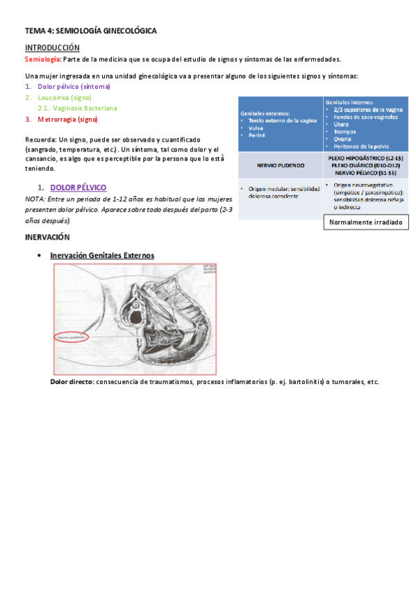 Miniatura del documento TEMA-4.-SEMIOLOGIA-GINECOLOGICA.pdf