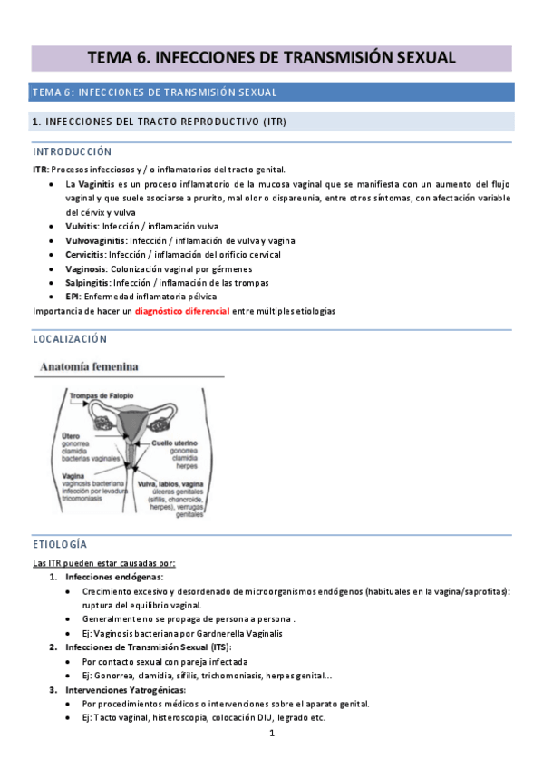Miniatura del documento TEMA-6.-ITRITS.pdf