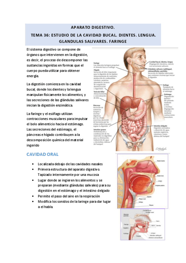 Miniatura del documento TEMA-36-Cavidad-bucal.pdf