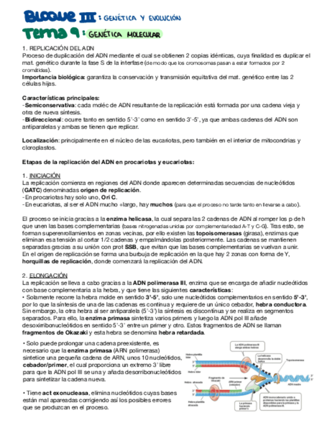 Miniatura del documento Genetica-molecular.pdf