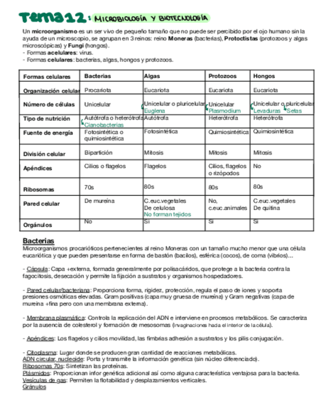 Miniatura del documento Microbiologia-y-biotecnologia.pdf