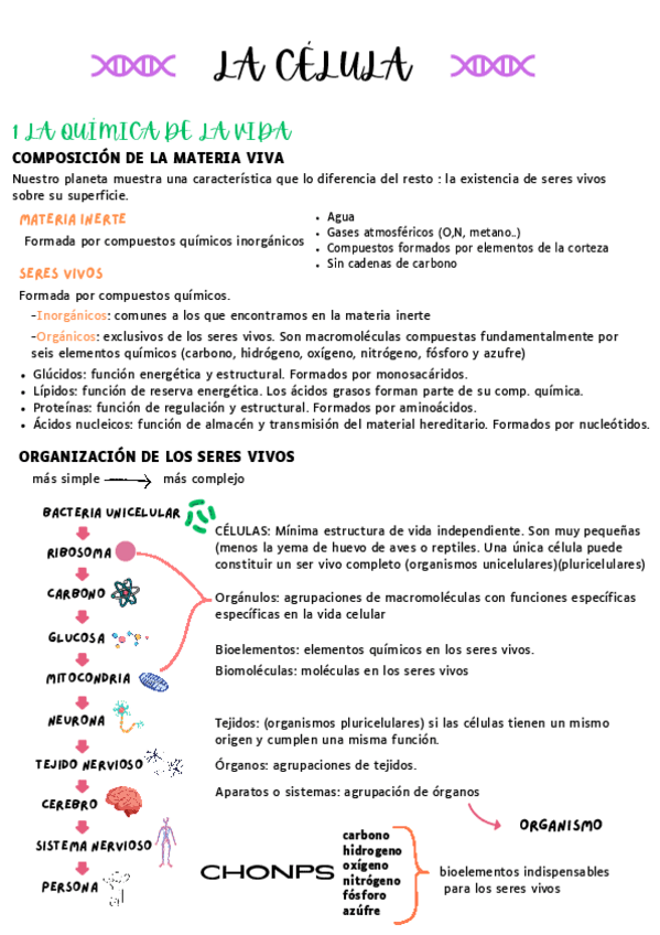 Miniatura del documento LA-CELULA.pdf