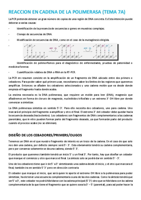 Miniatura del documento PCR-Y-CLONAJE.pdf