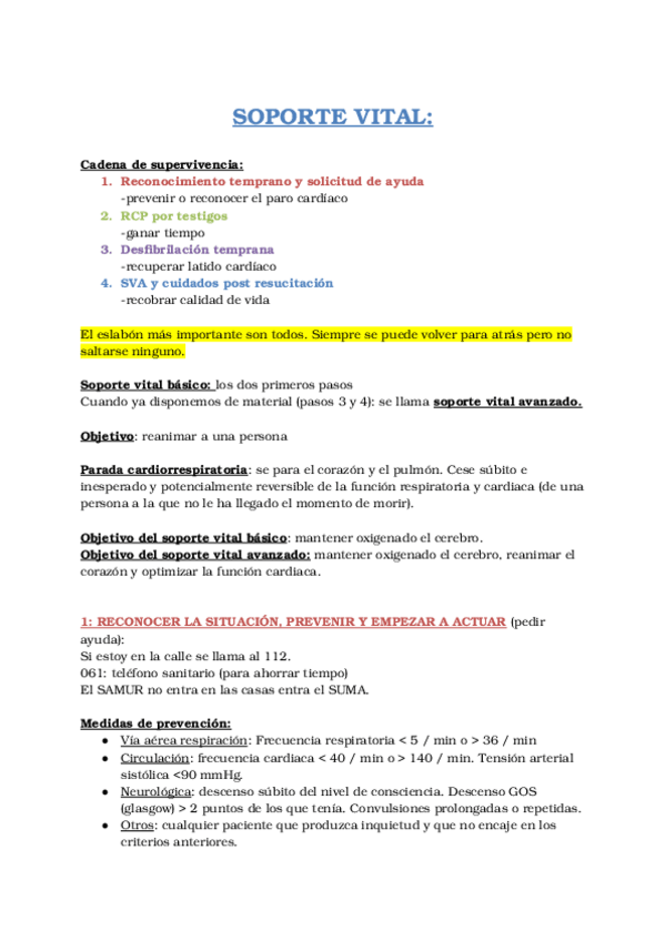 Miniatura del documento Soporte-vital-ESTE.docx