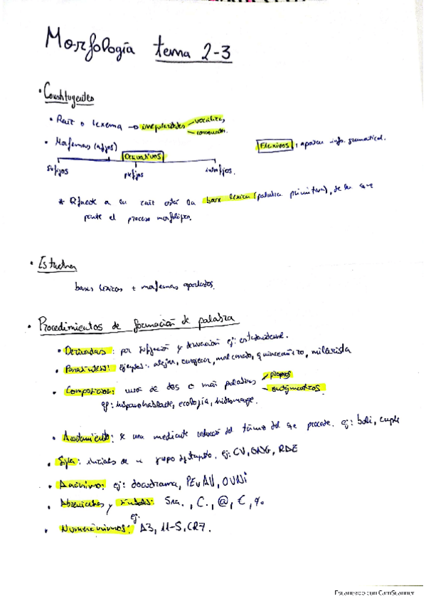 Miniatura del documento morfologia.pdf